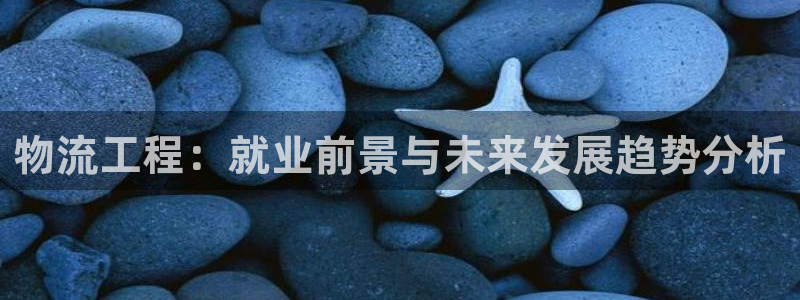 多多28返水怎么算的：物流工程：就业
