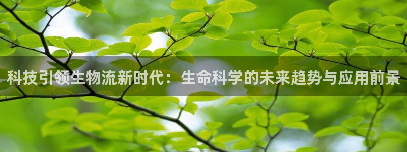 多多28充值不处理怎么办：科技引领生