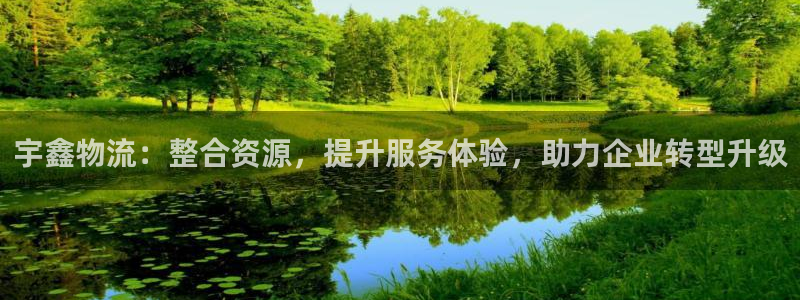 多多28网赌有什么风险：宇鑫物流：整