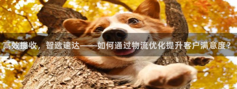 多多28口
