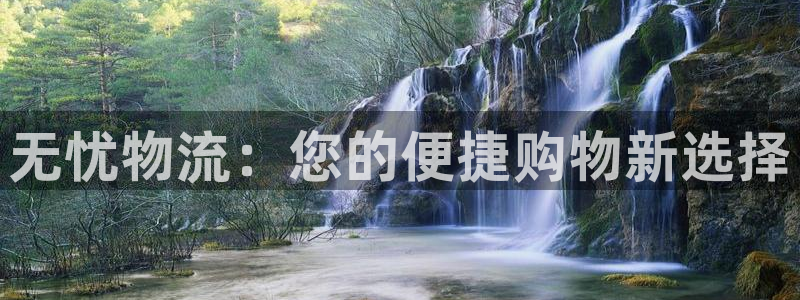 多多28吧：无忧物流：您的便捷购物新