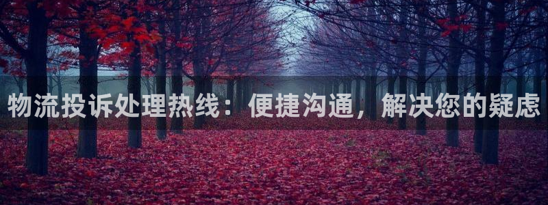多多28链接：物流投诉处理热线：便捷