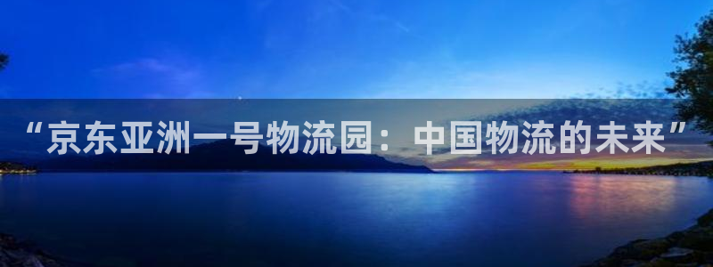 多多28加拿大走势：“京东亚洲一号物