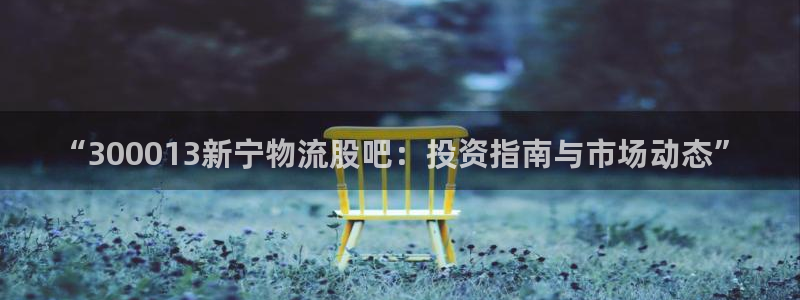 多多28正规吗：“300013新宁物