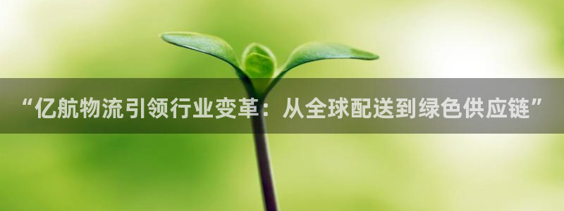多多28官网入口正版：“亿航物流引领
