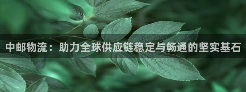 多多28p扣除：中邮物流：助力全球供