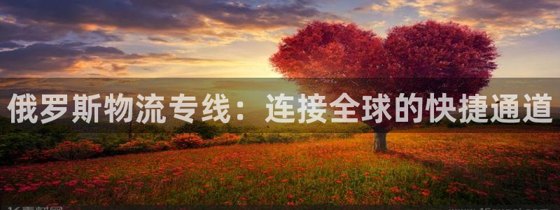多多28注册问一问：俄罗斯物流专线：