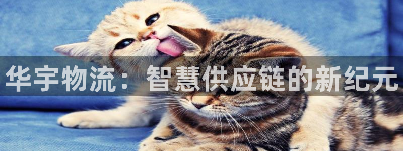 多多28预测网：华宇物流：智慧供应链