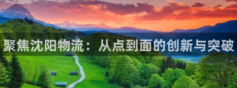 多多28电子：聚焦沈阳物流：从点到面