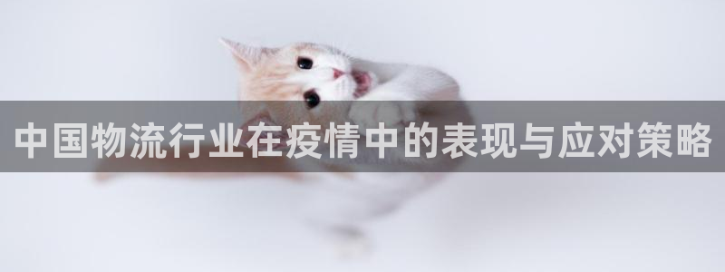 多多28链官网：中国物流行业在疫情中