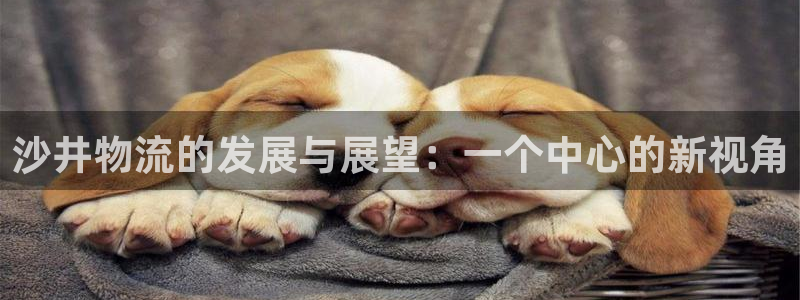 多多28网站怎么注册：沙井物流的发展