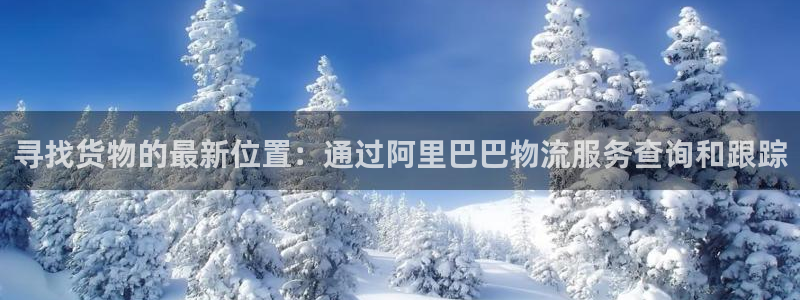 多多28官网下载链接是什么网站：寻找