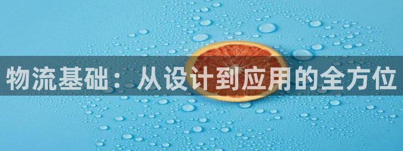 多多28反水怎么算：物流基础：从设计到应用的全方位