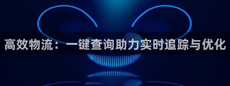 多多28官网下载多少钱：高效物流：一键查询助力实时追踪与优化