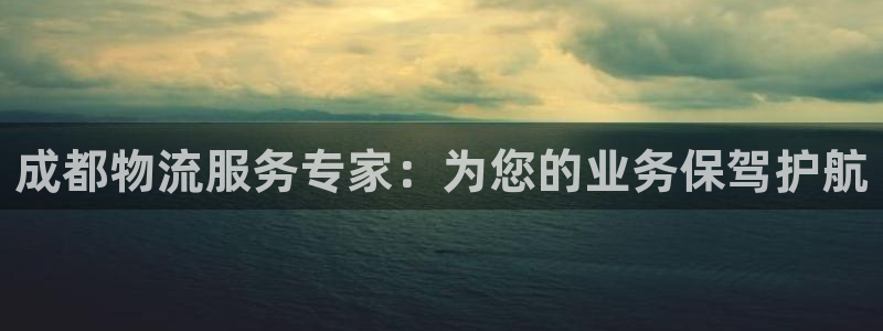 多多28加拿大模拟器：成都物流服务专
