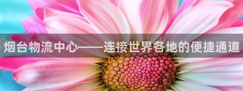 多多28官方官网版：烟台物流中心——
