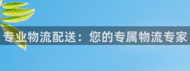 多多28反水什么时候到：专业物流配送