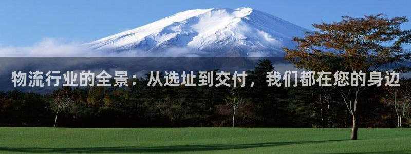 多多28注册问一问：物流行业的全景：