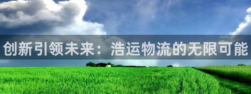 多多28p扣除：创新引领未来：浩运物