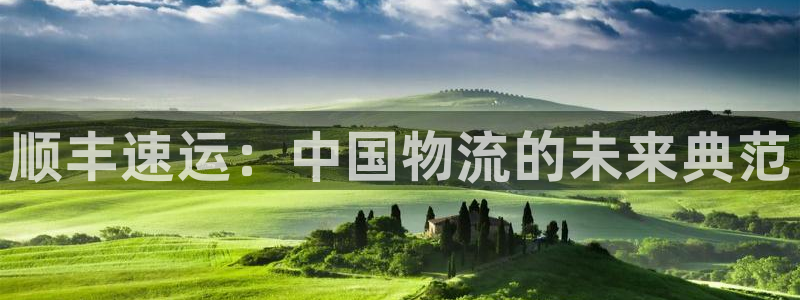 多多28怎么申请代理：顺丰速运：中国