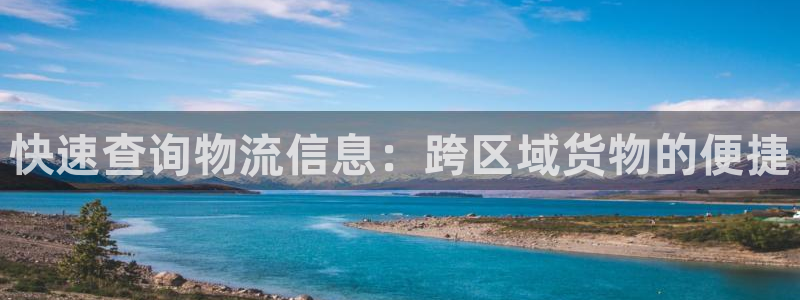多多28软件是什么：快速查询物流信息