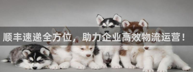 多多28女王中奖记录查询：顺丰速递全