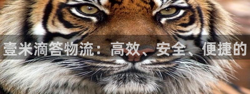 多多28cn：壹米滴答物流：高效、安