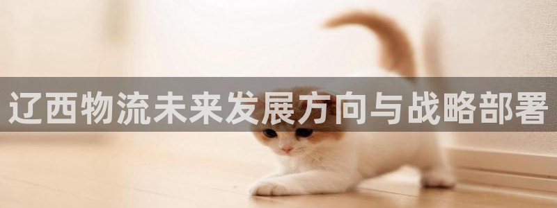 多多28软件是诈骗吗：辽西物流未来发