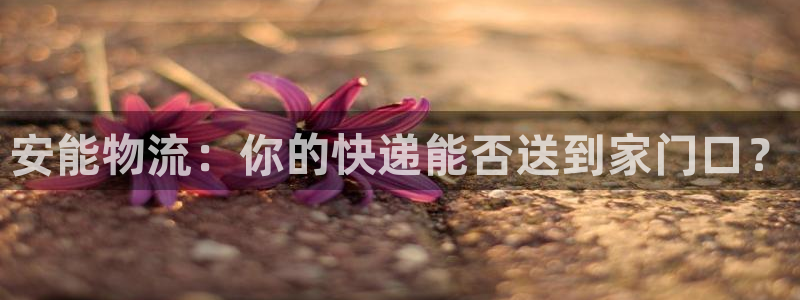 多多28下载链接是多少：安能物流：你