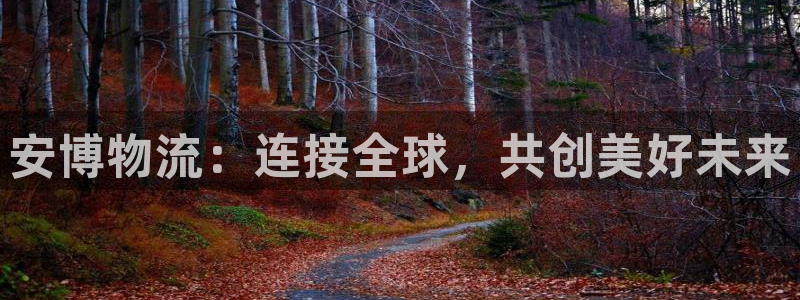 多多28图片：安博物流：连接全球，共