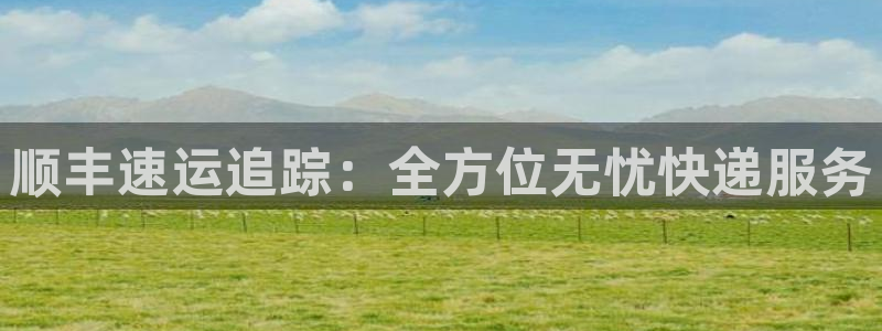 多多28激活码：顺丰速运追踪：全方位
