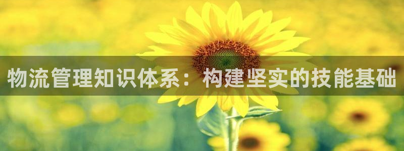 多多28官网入口pc预测：物流管理知