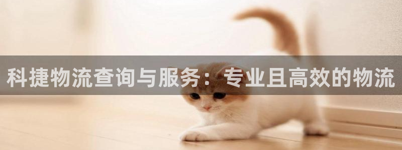 多多28注册网址百度知道：科捷物流查