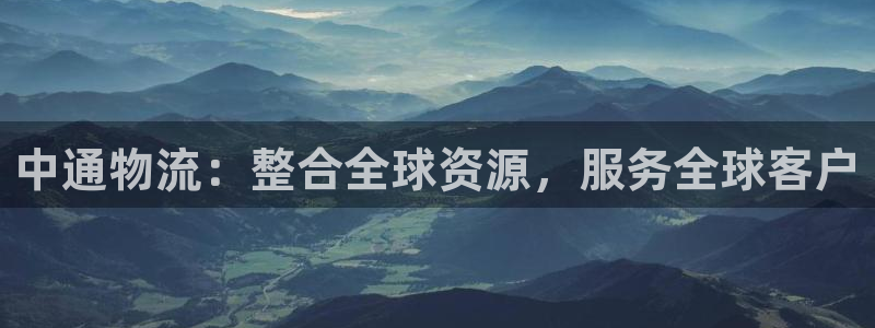 多多28分分28预测