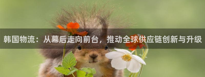 多多28正规吗：韩国物流：从幕后走向
