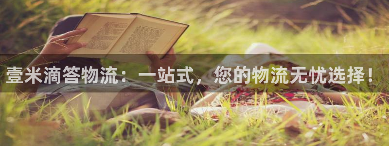 多多28黑钱：壹米滴答物流：一站式，您的物流无忧选择！