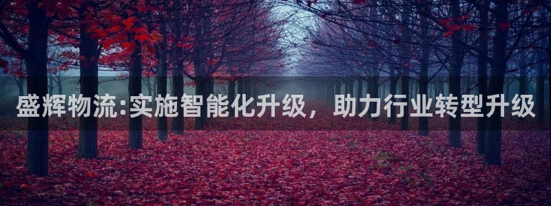 多多28充值不处理怎么办：盛辉物流: