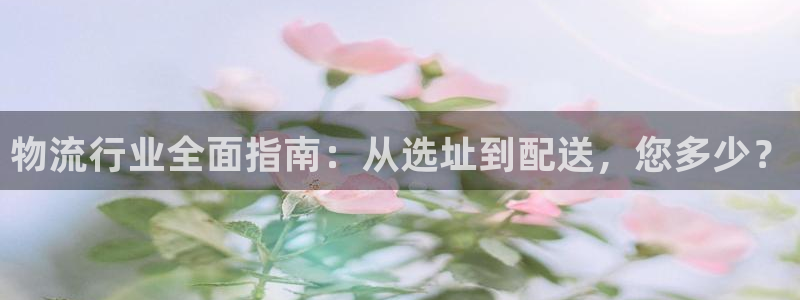 多多28加拿大最新版：物流行业全面指