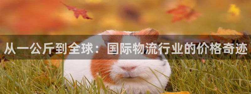 多多28加拿大：从一公斤到全球：国际