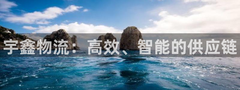 多多28官网入口pc28：宇鑫物流：高效、智能的供应链