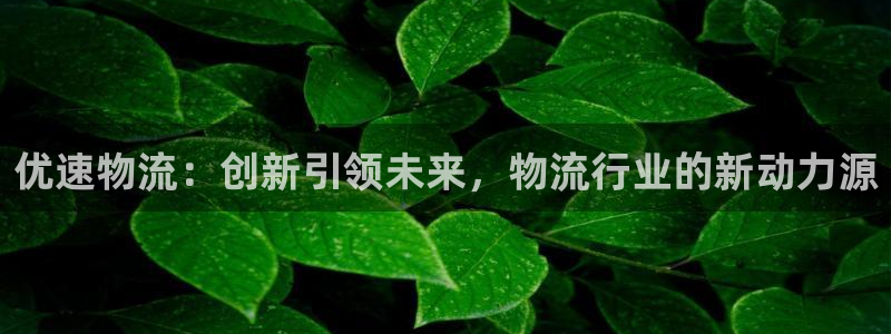 多多28能退款吗：优速物流：创新引领