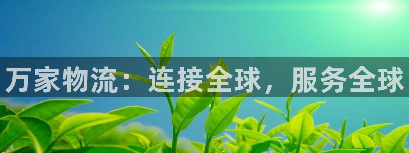 多多28是干嘛的：万家物流：连接全球