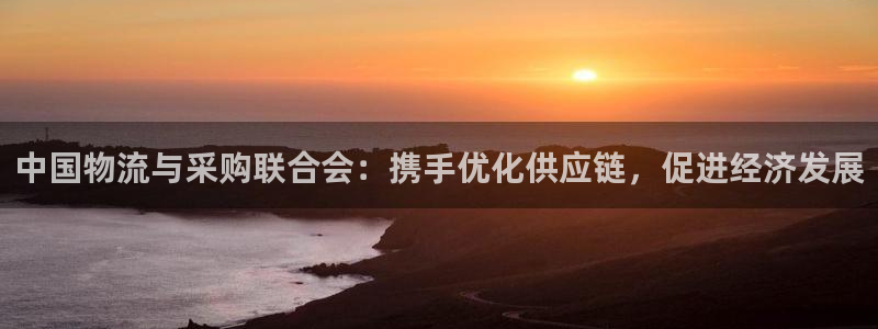 多多28流水怎么算:中国物流与采购联