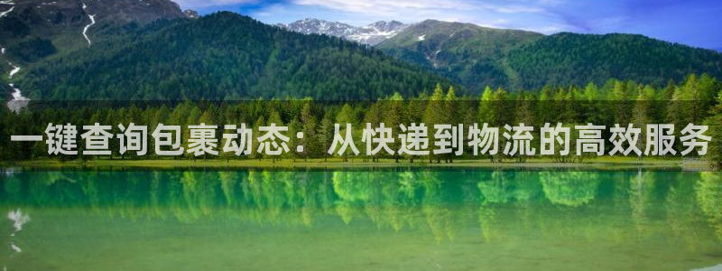 多多28官方网站是多少：一键查询包裹