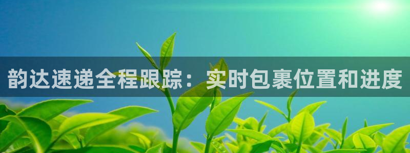 多多28加拿大app预测：韵达速递全